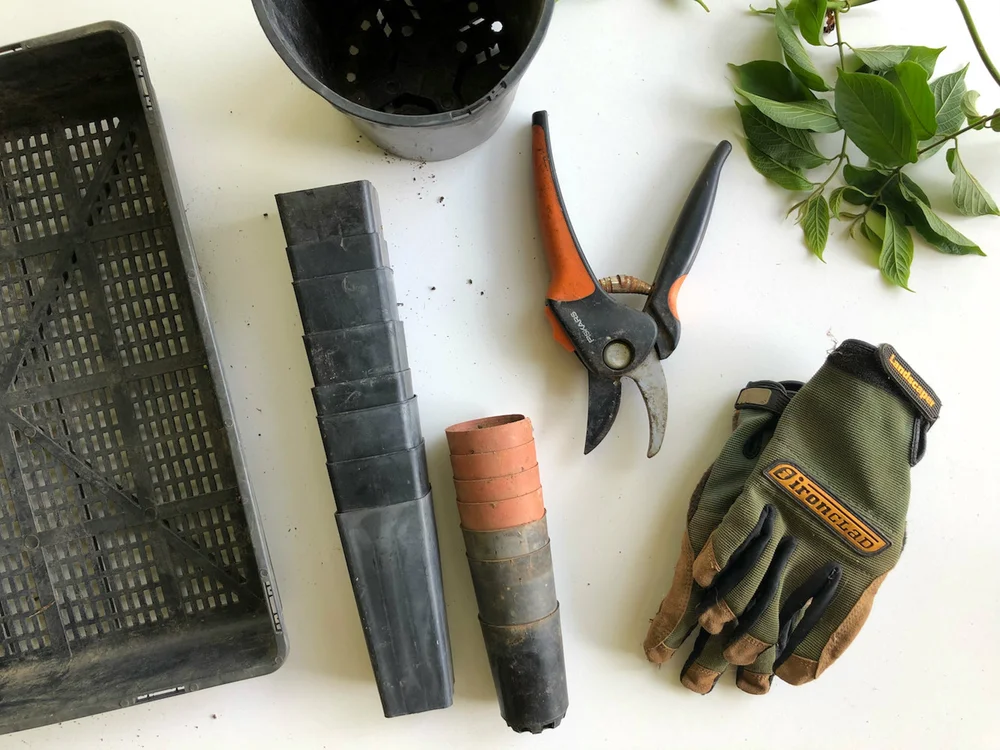 Gardening tools laid out: secateurs, gloves, pots, and plants